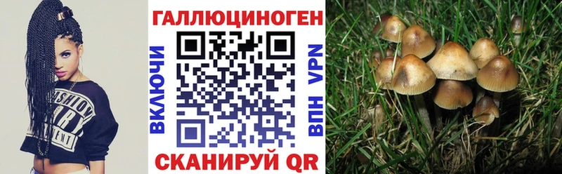Псилоцибиновые грибы Magic Shrooms  OMG как войти  Нариманов 